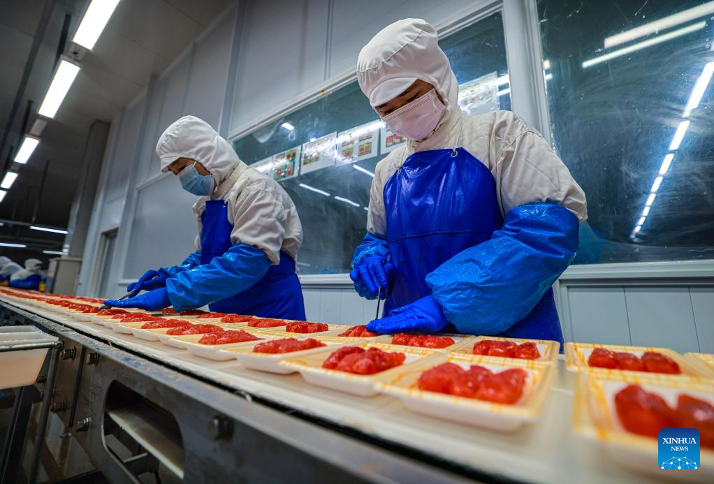Enterprises across China ratchet up production in new year(图5)
