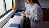 Shanghai Clirik Machinery Co., Ltd.(图6)