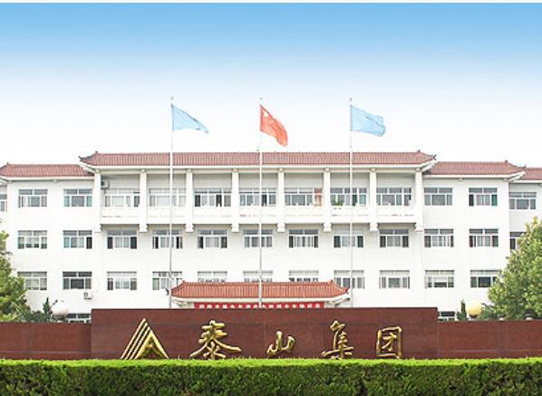 Taishan Group Tai’an Boao International Trade Co., Ltd. 