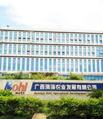 Guangxi Bohi Agricultural Development Co., Ltd.(图1)