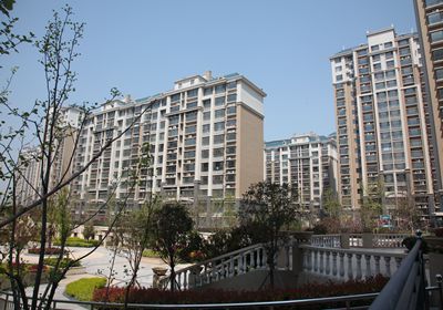 Boxing Bohi Real Estates Co., Ltd.