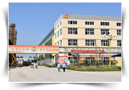 Shandong Sunshine Pigment (Group) Co., Ltd.