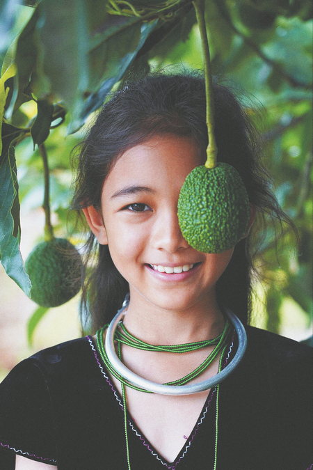 Photographer transforming into avocado farming pioneer(图1)