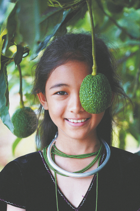 Photographer transforming into avocado farming pioneer