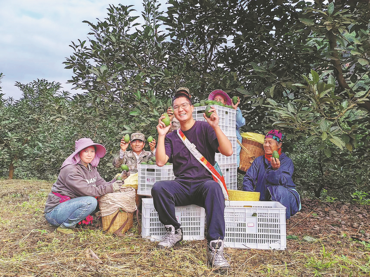 Photographer transforming into avocado farming pioneer(图2)