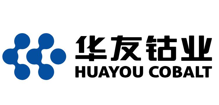 Zhejiang Huayou Cobalt Industry Co., Ltd.
