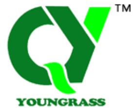 Huzhou Qingyang Artificial Turf Co., Ltd