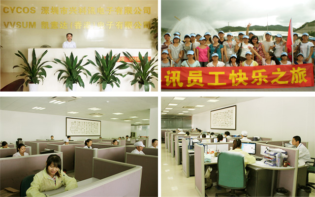 Shenzhen VVSUM Electronics Co., Ltd 