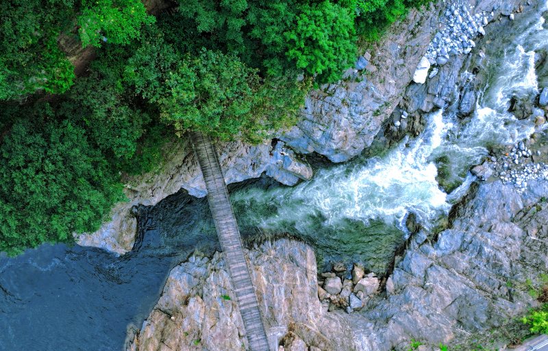 Ecological restoration transforms NW China’s Shaanxi