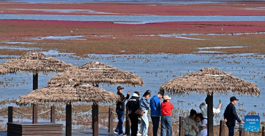 View of Red Beach scenic area in Chinas Liaoning(图7)