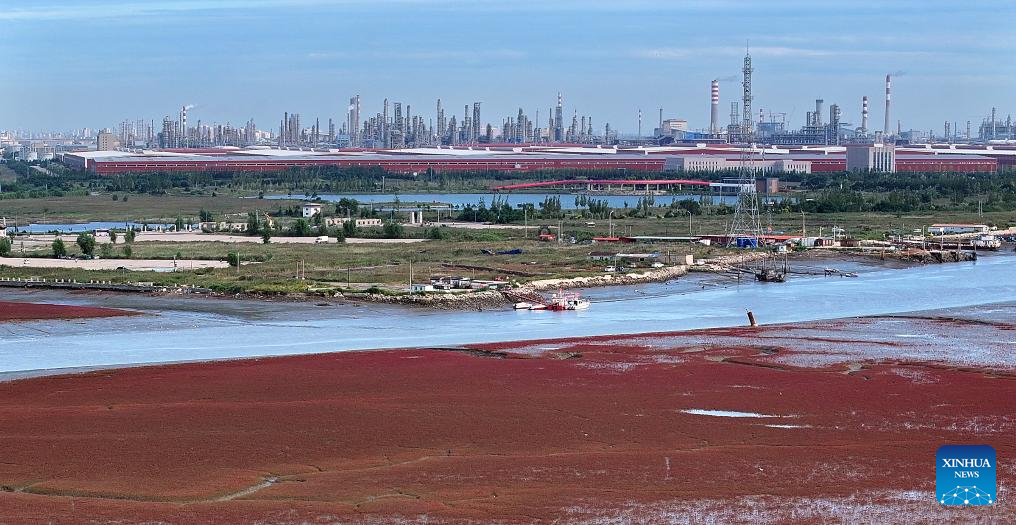View of Red Beach scenic area in Chinas Liaoning(图9)