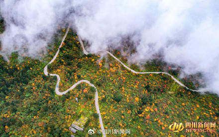 Like a poem or a painting! The colorful forest of Mount Emei welcomes its best viewing period