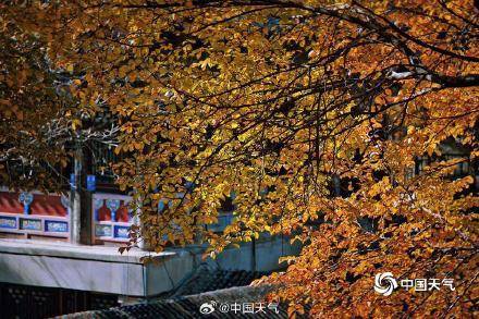The autumn charm of the Summer Palace in Beijing is strong, and the ancient architecture and colorfu
