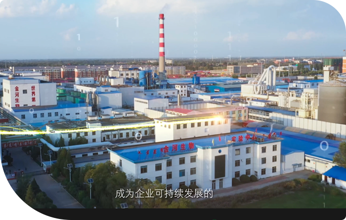 Jinhe Biotechnology Co, Ltd.
