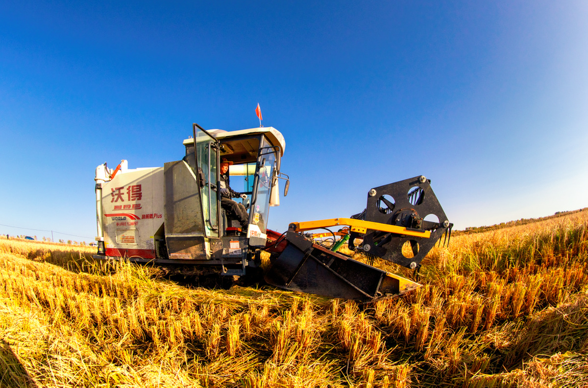 China can help ensure future food security