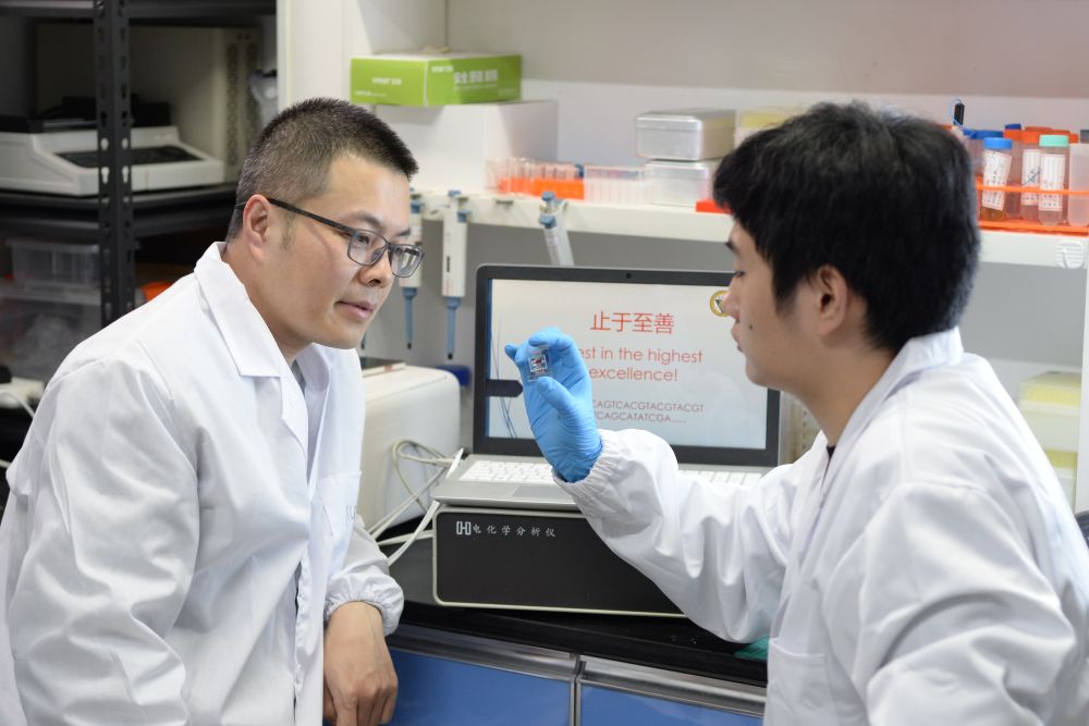 Chinese researchers make DNA storage breakthroughs(图1)